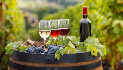Parcourir la route des vins au départ de Mérignac
