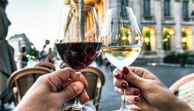 Les vignobles à proximité de Pessac