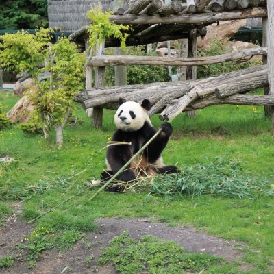 Aparthotel in der Nähe des ZooParc de Beauval
